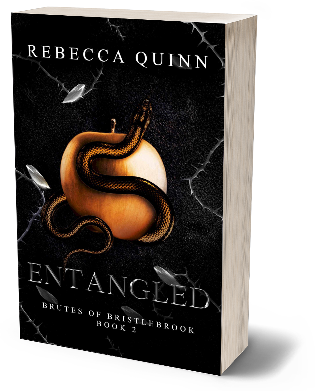 Entangled – Rebecca Quinn